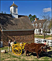 Darin Tschopp stands by Red and Rusty, his team of Milking Shorthorns, while Eric Hunter, left, and cooper Jonathan Hallman loads barrels onto an oxcart. One team is capable of moving loads of several tons, hauling bricks or clearing downed trees.