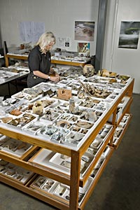 Bly Straube presides over the Jamestown Rediscovery labs.