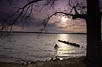 The banks of the James River, awash in evening light.