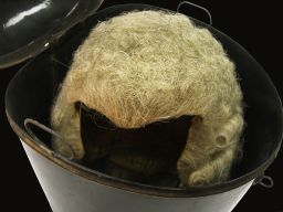 Barrister's Wig and Box